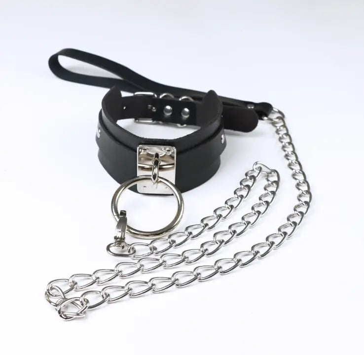 NocteLace™ Follow Me Collar and Leash